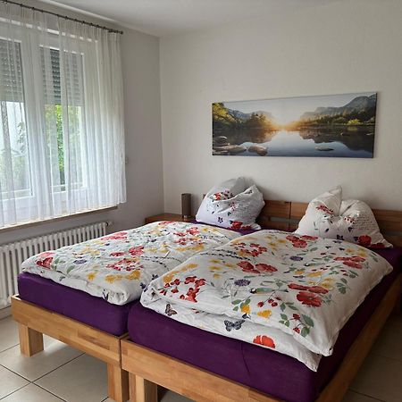 Klettgauperle - Familien- Und Behindertengerechte Ferienwohnung Griessen Εξωτερικό φωτογραφία